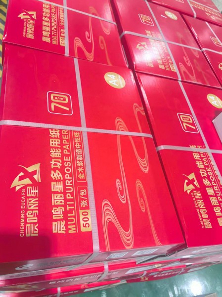 濰坊靜電復印紙4