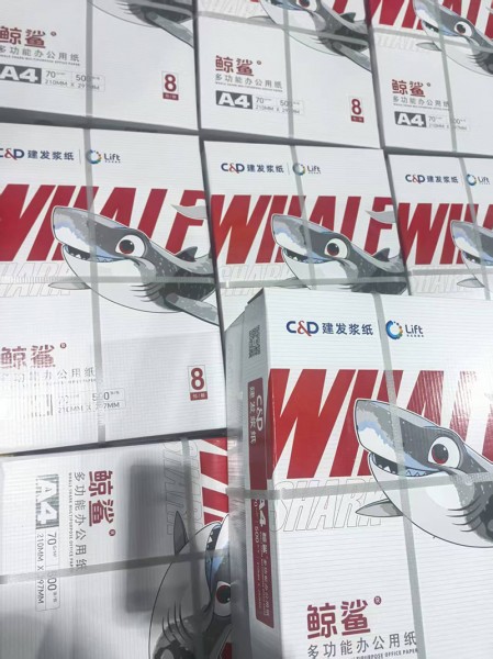 濰坊靜電復印紙5