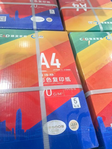 濰坊靜電復印紙6
