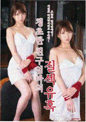 杭州湾南岸海雾过程影像记录封面